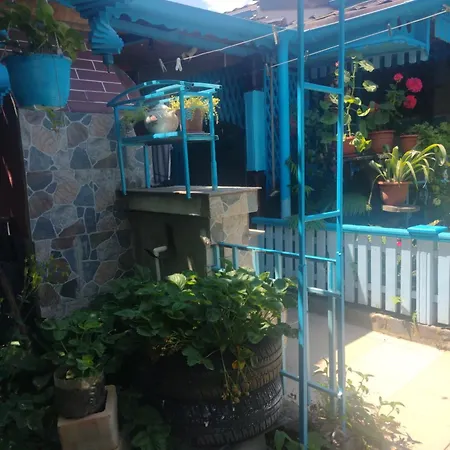 Casa De Vacanta Puiu * Sulina