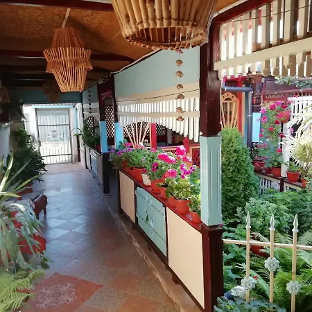 Casa De Vacanta Puiu Frühstückspension