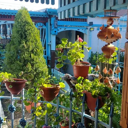 Frühstückspension Casa De Vacanta Puiu 3*