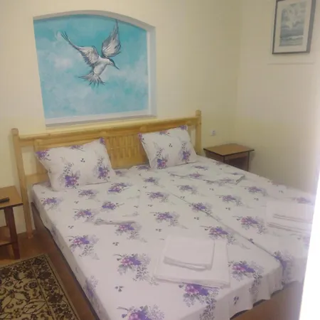 Casa De Vacanta Puiu Sulina