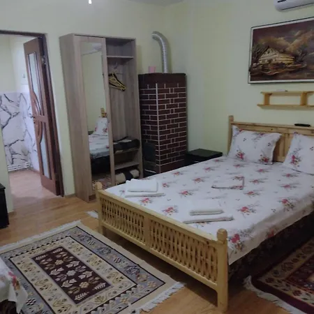 Casa De Vacanta ,,puiu & Nelly,, 3*