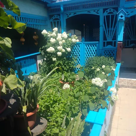 Casa De Vacanta ,,puiu & Nelly,,