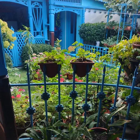 Casa De Vacanta ,,puiu & Nelly,, Bed & Breakfast Sulina