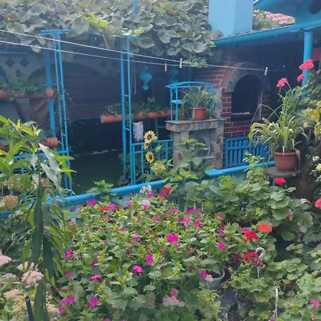 Bed & Breakfast Casa De Vacanta ,,puiu & Nelly,,