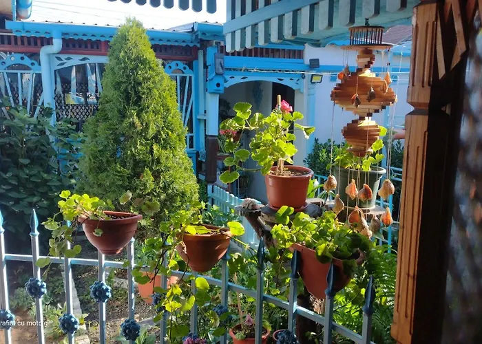 Frühstückspension Casa De Vacanta Puiu 3*