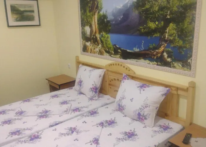 Casa De Vacanta Puiu Frühstückspension Sulina