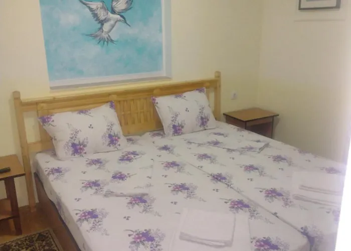 Casa De Vacanta Puiu Sulina