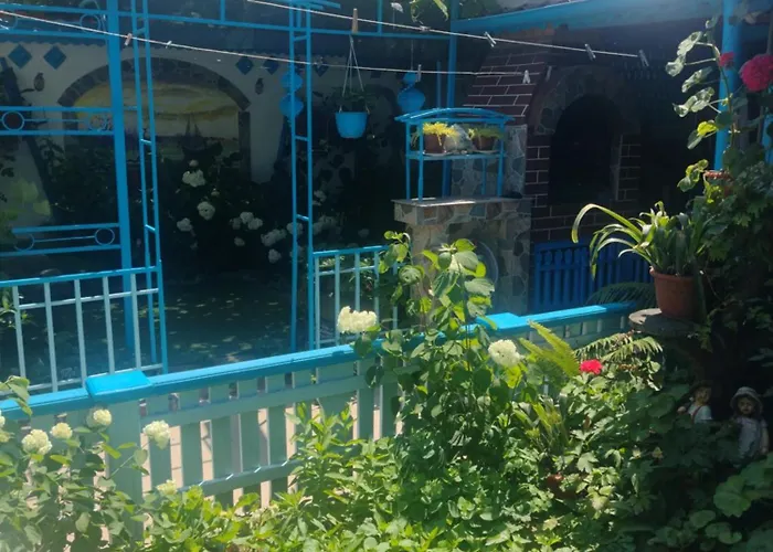 Casa De Vacanta Puiu