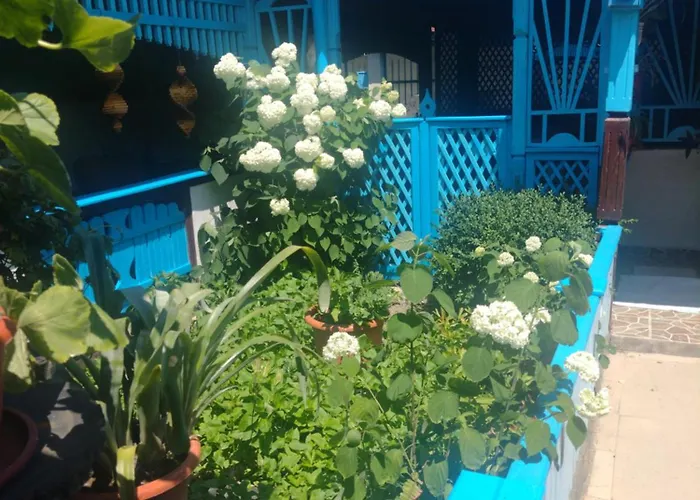 Casa De Vacanta Puiu Frühstückspension Sulina